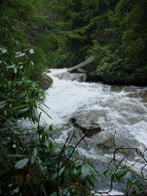 Muddy Creek Falls November 2006